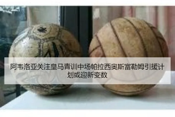 阿韦洛亚关注皇马青训中场帕拉西奥斯富勒姆引援计划或迎新变数